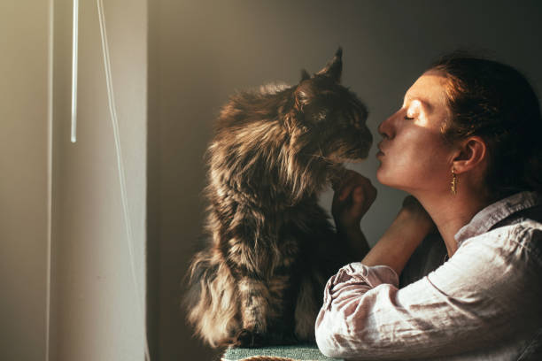 Woman Connecting with Maine Coon Cat
