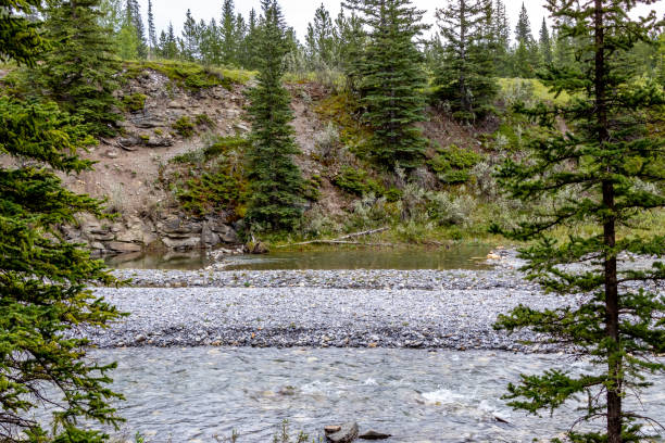istock PRA North Ghost, MD of Big Horn, Alberta, Canada 1987956039