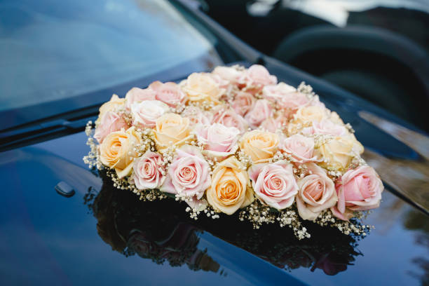 Pink roses on the back of an automobile.