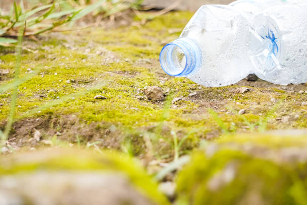 istock Empty Used Plastic Bottle that is left lying on the dirt ground makes the scenery dirty and less beautiful. Throw garbage carelessly or littering on the public park or garden. 1987972700