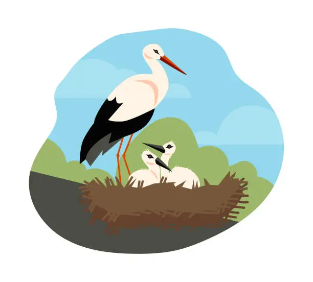 Vector illustration of Stork nest in the wild with little chicks, flat vector illustration isolated.