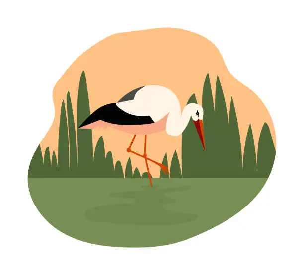 Vector illustration of Stork standing in marshland in flat vector illustration
