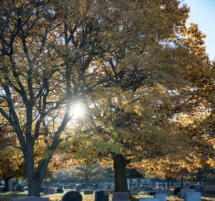 Tombstones at Montreal Cemetery in Autumn