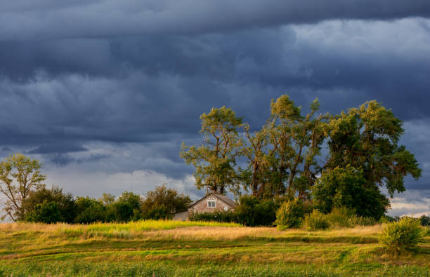istock Rural landscape with a house standing between tall poplars before storm 1988034029