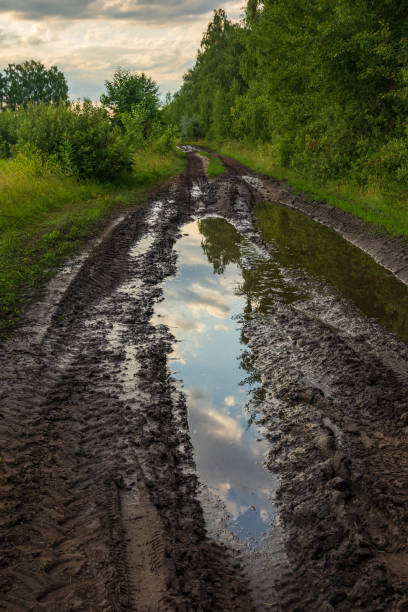 istock Dirt road with mud ans sky reflected in the puddle 1988034030