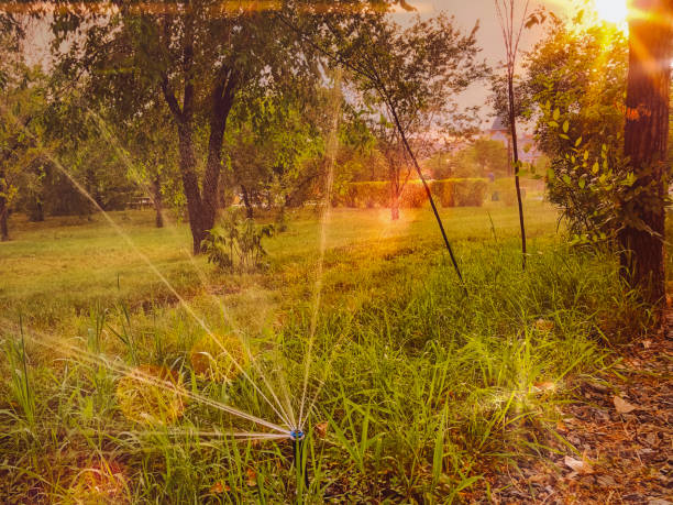 istock Garden sprinkler watering the grass in the park at sunset. 1988077832