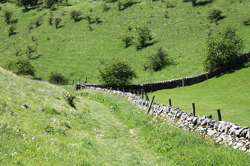 Biggin Dale near Hartington, Derbyshire, England, UK - Footpath descending toward Dove Dale alongside stone wall in a steep-sided valley