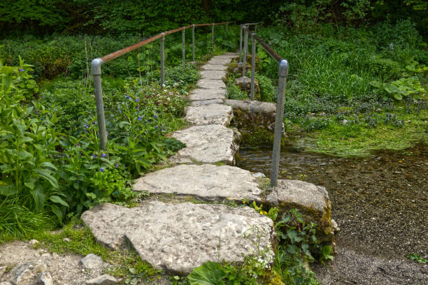 Over Haddon, Peak District, Derbyshire, England, UK - Old bridge across the River Lathkill in Lathkill Dale near Over Haddon. Part of a beautiful walk that takes in the tranquil valley of Lathkill Dale and the River Lathkill.