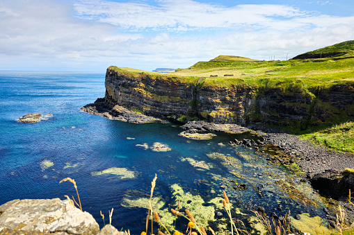 Green cliffs of the Causeway coast of Northern Ireland on a sunny summer day