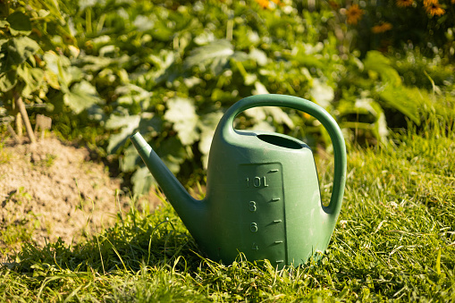 Watering can standing on the earth. Gardening hobby concept.