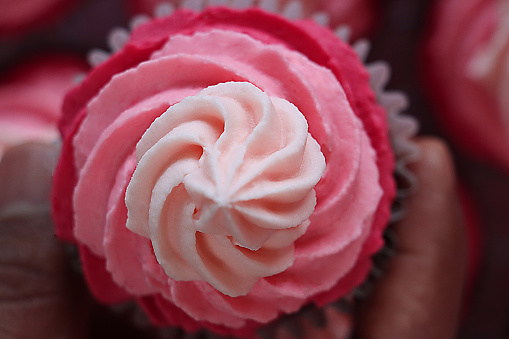 Stock photo showing close-up, elevated view of a cooling rack of freshly baked, homemade, red velvet cupcakes in paper cake cases. The cup cakes have been decorated with swirls of ombre effect pink piped icing.  Valentine's Day and romance concept.