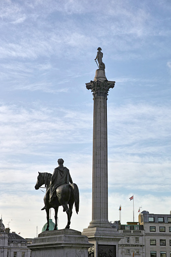 The Nelson's column and the Statue of George IV