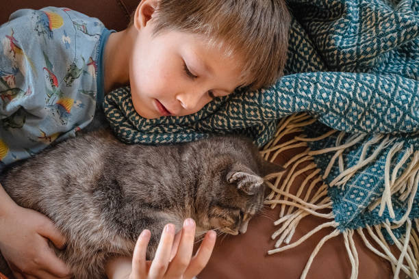 istock Relaxed kid enjoying with cat at home 1988129050