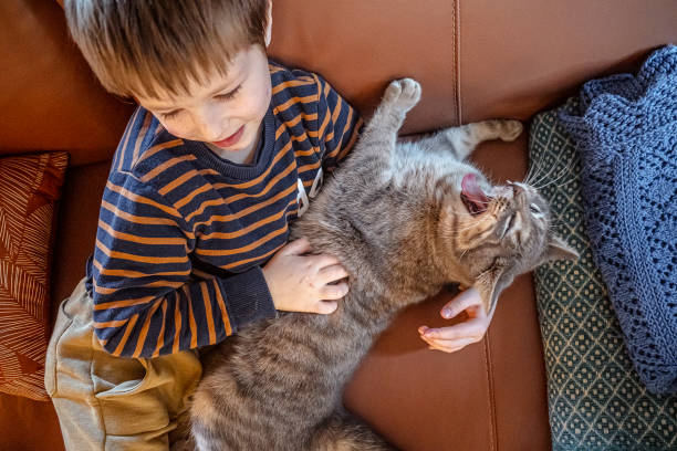 istock Relaxed kid enjoying with cat at home 1988129488