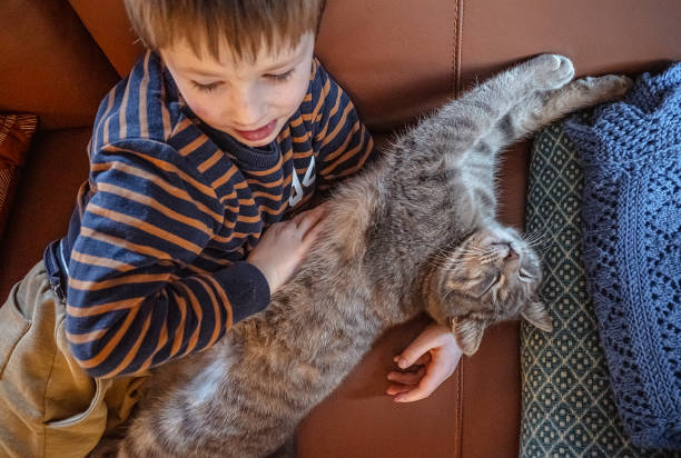 istock Relaxed kid enjoying with cat at home 1988129573