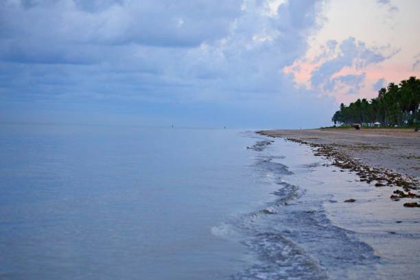istock Japaratinga beach, Alagoas, Brazil in blue sunrise 1988142941