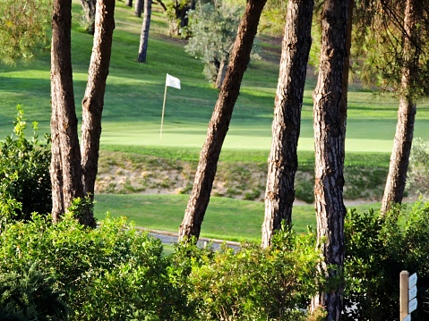 The  golf course of El Rompido, Huelva