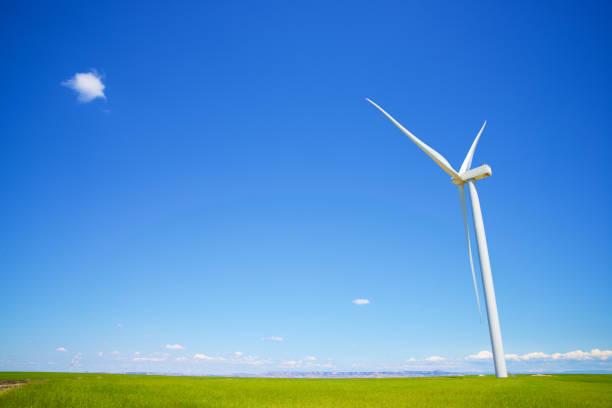 Farm road between fence lines with wind turbine backgound