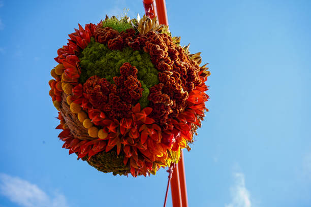 Exposure of Ipomoea flowers in vases, also known as Morning Glory, present all around the beautiful city of Doha, Qatar, giving a amazing colorful to the city