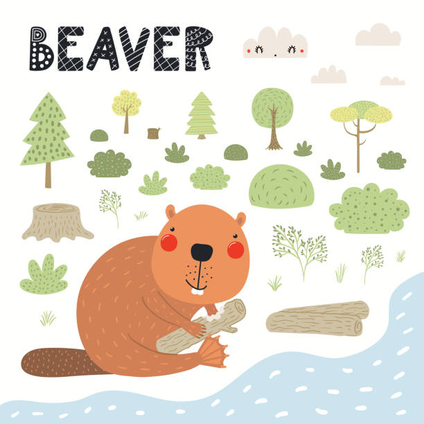 Cute funny beaver in forest, woodland landscape Cute funny beaver in forest, woodland landscape, isolated on white. Hand drawn wild animal vector illustration. Scandinavian style flat design. Concept for kids fashion, textile print, poster, card clip art of baby beaver stock illustrations