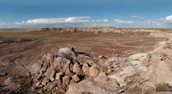 The Jasper Forest at Arizona’s Petrified Forest National Park features a broad desert terrain with many striated mounds of sediment and deposits of petrified wood.