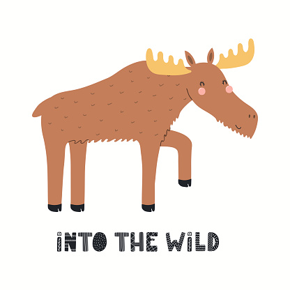 Cute funny moose character, text Into the wild, isolated on white. Hand drawn animal vector illustration. Scandinavian style woodland. Flat design. Concept for kids fashion, fabriv print, poster, card