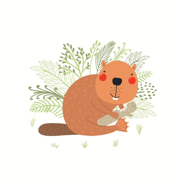 Cute funny beaver with wood, grass, fern, isolated Cute funny beaver with wood, grass, fern, isolated on white. Hand drawn wild animal vector illustration. Scandinavian style woodland. Flat design. Concept for kids fashion, textile print, poster, card clip art of baby beaver stock illustrations