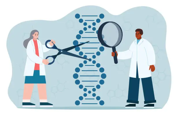 Vector illustration of Scientists sequencing DNA helix, researching and analyzing dna molecule in laboratory.