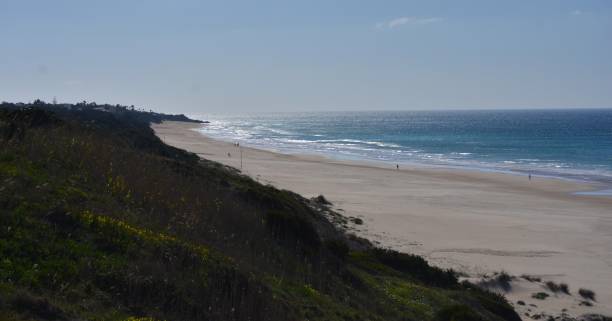 istock The Beaches of Conil de La Frontera 1988241905