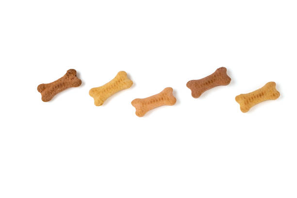 Line of bone shaped dog biscuits over white. Dog treats