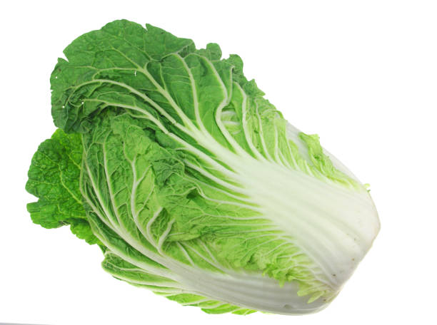 istock fresh Chinese cabbage isolated on white background 1988250845