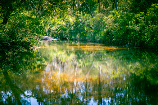 Photograph of Megalong Creek near Old Ford Reserve in Megalong Valley in the Blue Mountains in New South Wales in Australia