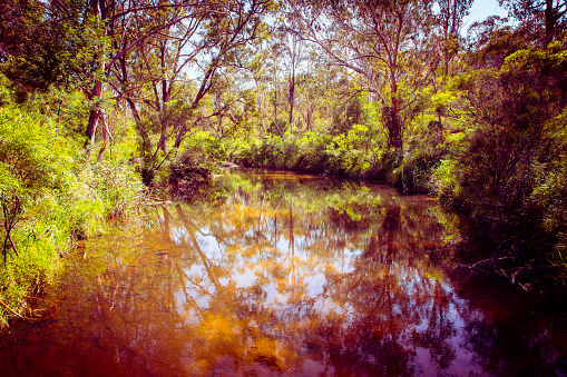 Photograph of Megalong Creek near Old Ford Reserve in Megalong Valley in the Blue Mountains in New South Wales in Australia