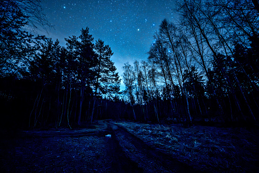 night frosty sky full of stars