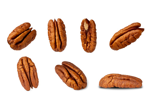 Set of peeled pecan nuts isolated on white background, high resolution detail macro shot with focus stacking composed of several images. Pecans are photographed in different positions.