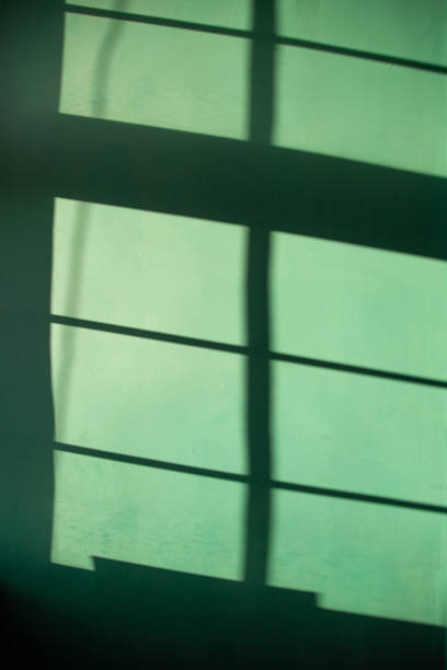 istock background of green wall with shadow and sunlight 1988327013