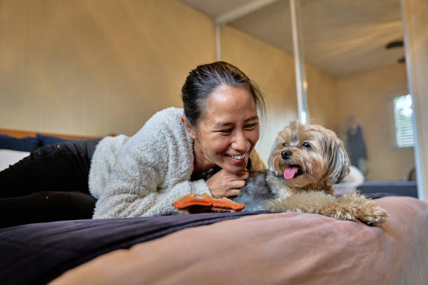 istock Young Woman Interacting with Dog at home 1988328584