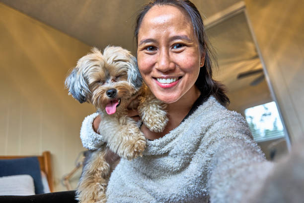 istock Young Woman Interacting with Dog at home 1988328590