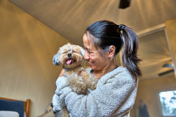 istock Young Woman Interacting with Dog at home 1988328592