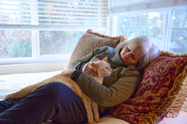 istock Woman Interacting with Cat at home 1988329119