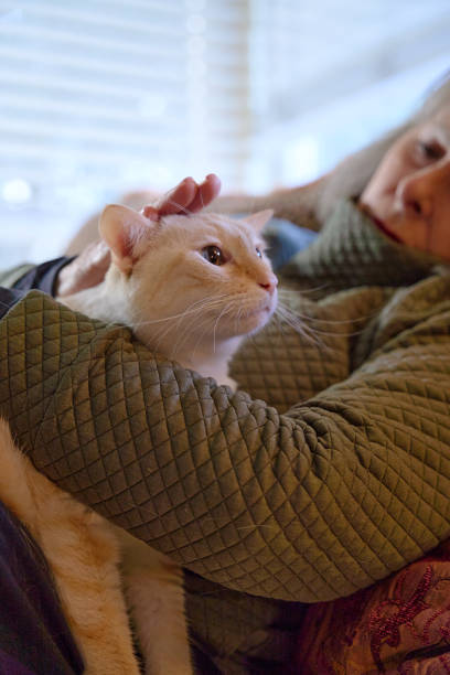 Woman Interacting with Cat at home