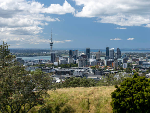 istock Central Auckland view from Mount Eden 1988341537