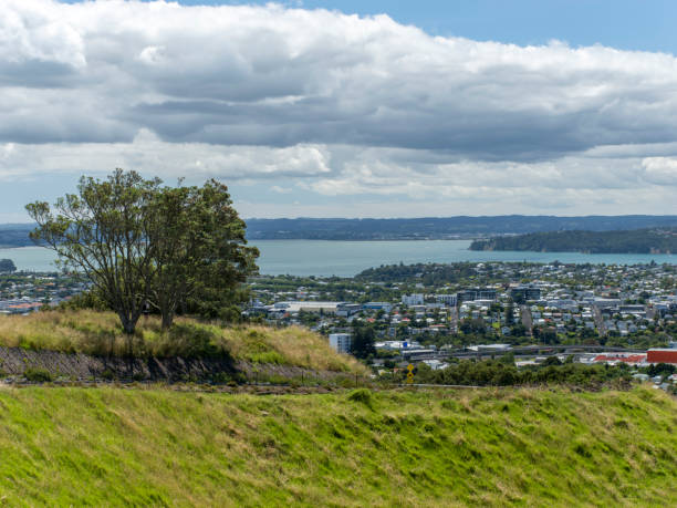 istock Central Auckland view from Mount Eden 1988344155