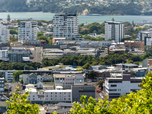 istock Central Auckland view from Mount Eden 1988344696