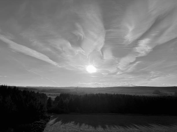 The sun casting shadows of trees on a field