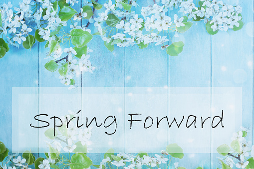 Spring forward sign over a beautiful spring tree blossoms against a peaceful blue rustic wooden background. Image shot from above in flat lay table top view.