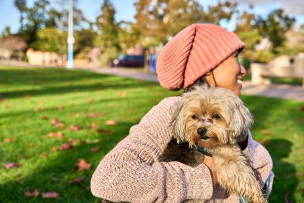 istock Young Woman Interacting Outdoors with their Dog 1988372904