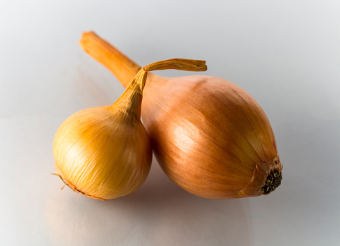 Two different onions on a white background