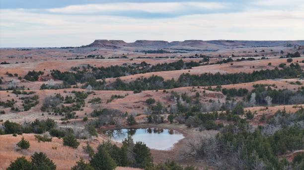 istock Serene desert valley with a tranquil pond nestled amidst towering trees 1988389867