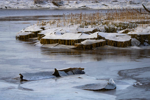 Frozen Tidal Marsh at Low Tide in Sub-Freezing Weather